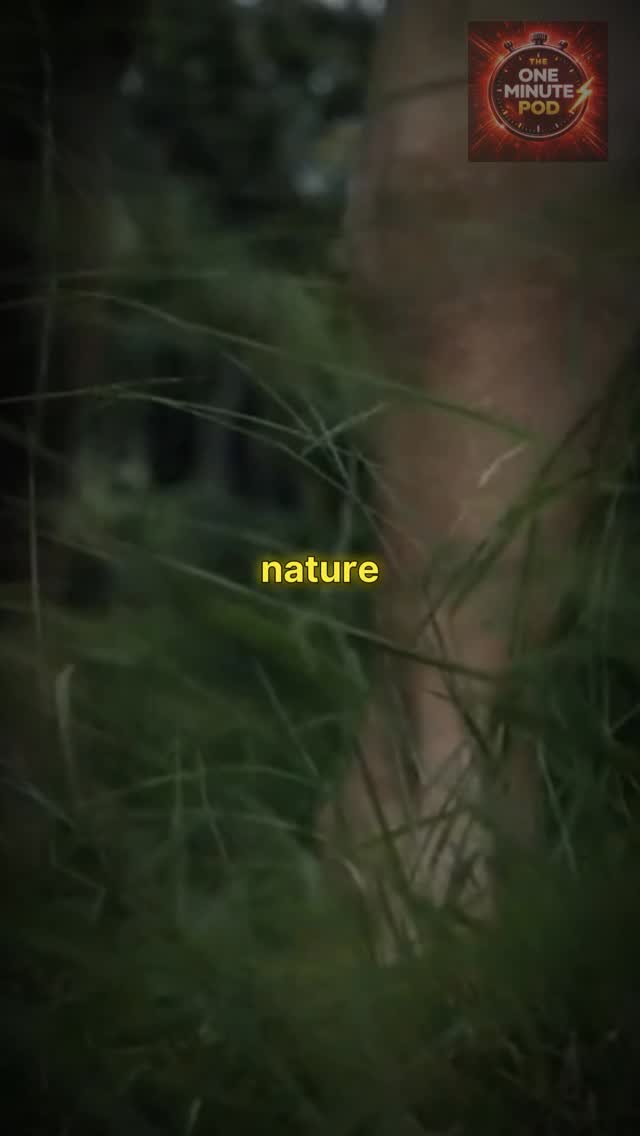 how often do you walk in nature? 🌲